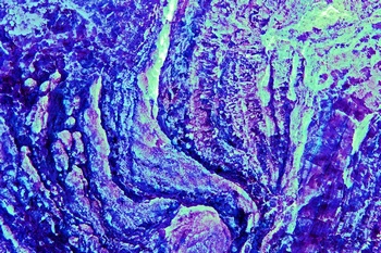 AP 117A1